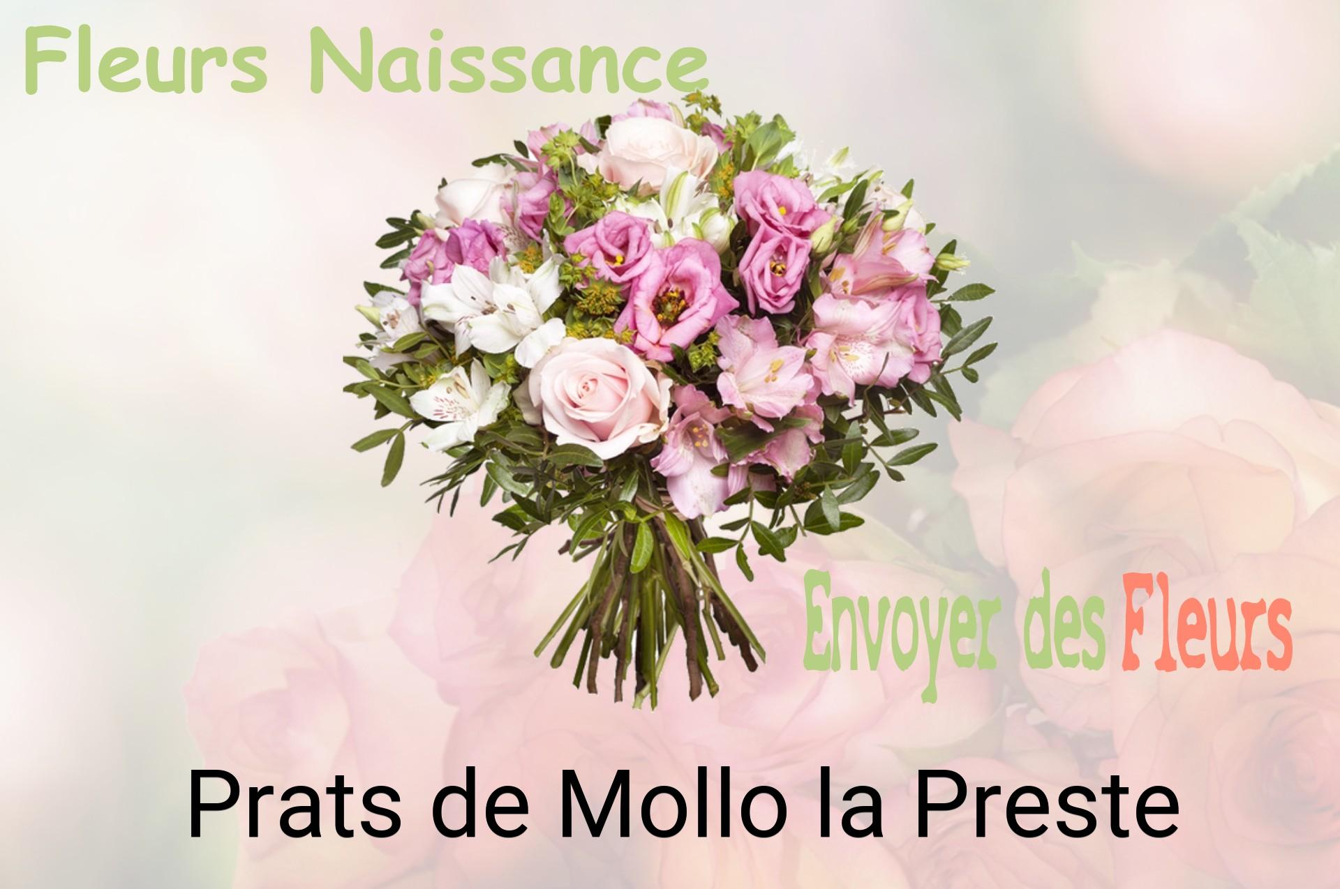 Bouquet de fleurs de naissance livré à Prats-de-Mollo-la-Preste